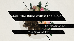 Job Series Title (2)