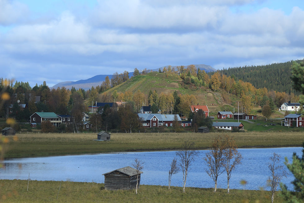 IMG_7790.JPG