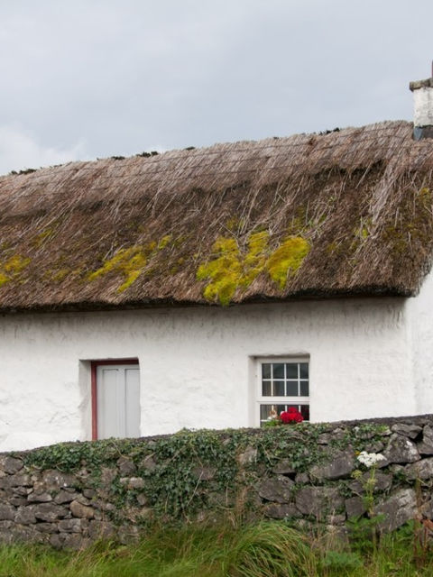 How Long Does A Thatched Roof Last 