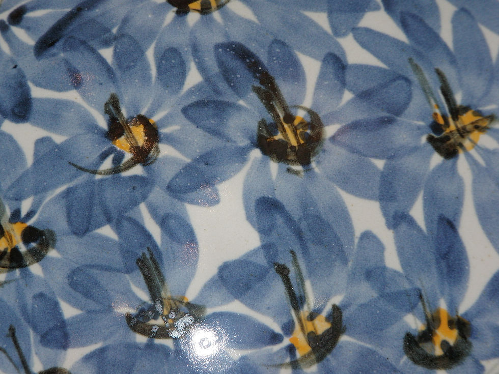 Blue Daisy Yellow