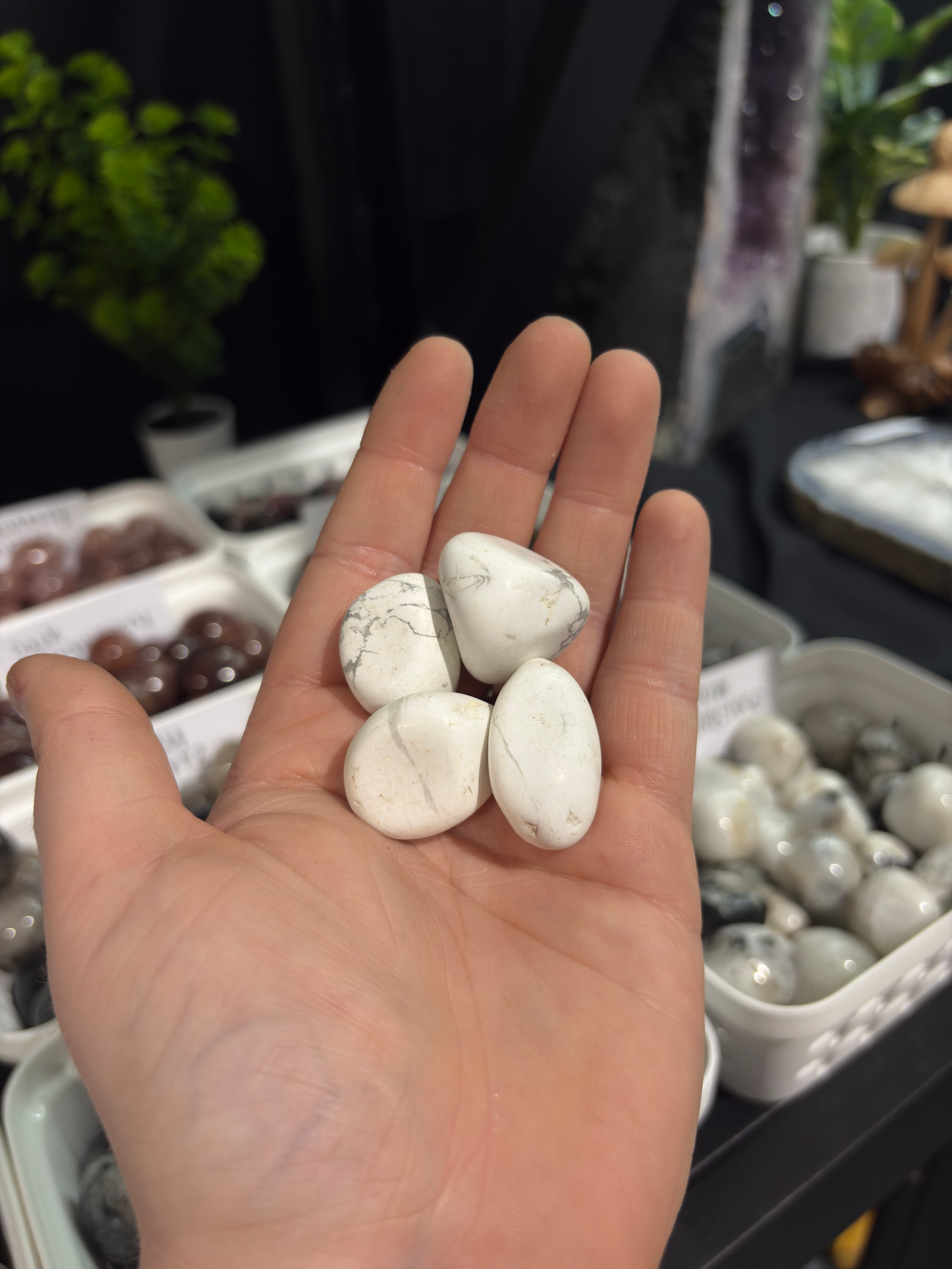 HOWLITE TUMBLE