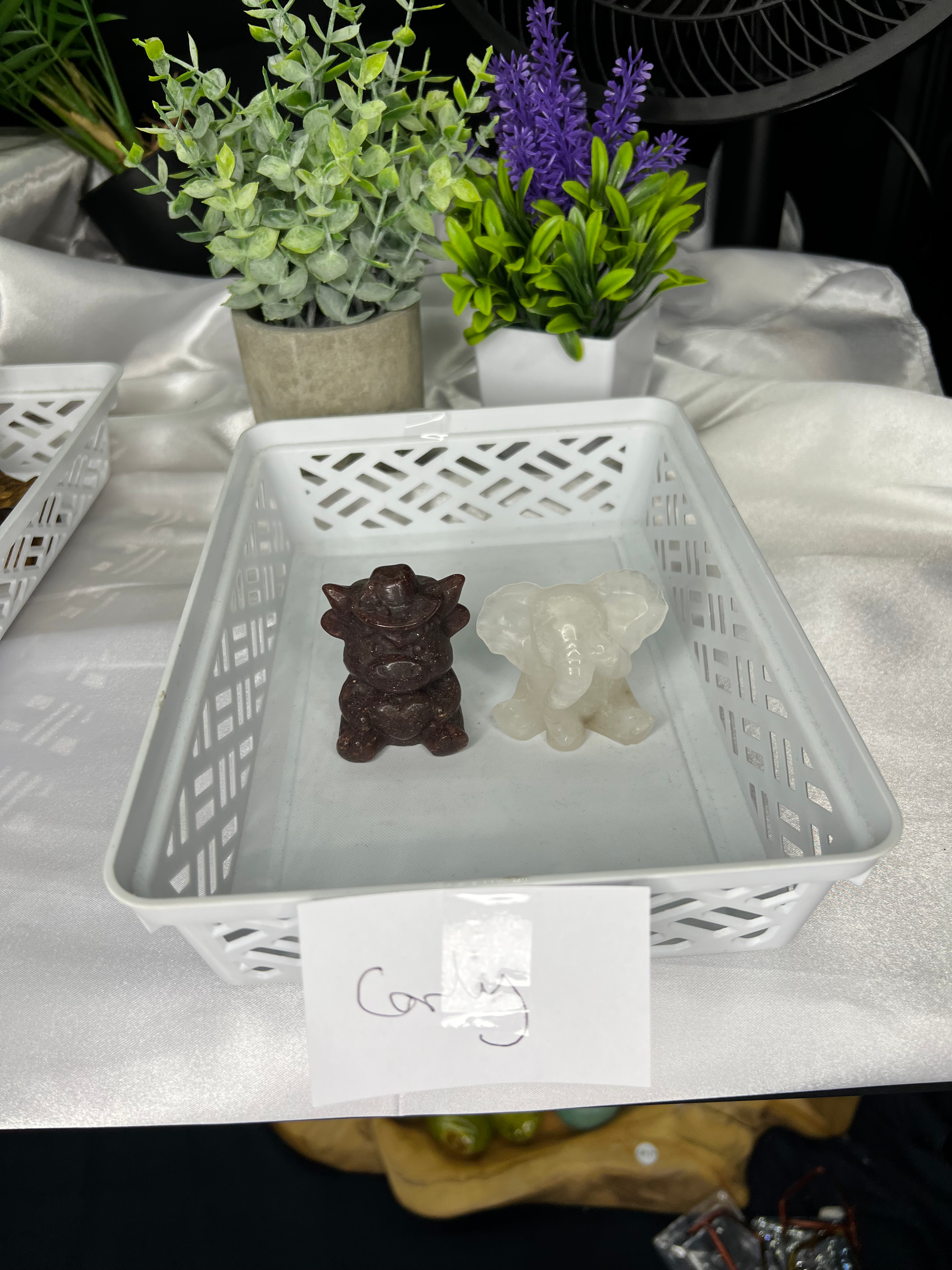 CARLY - LIVE SALE 10.11.2025