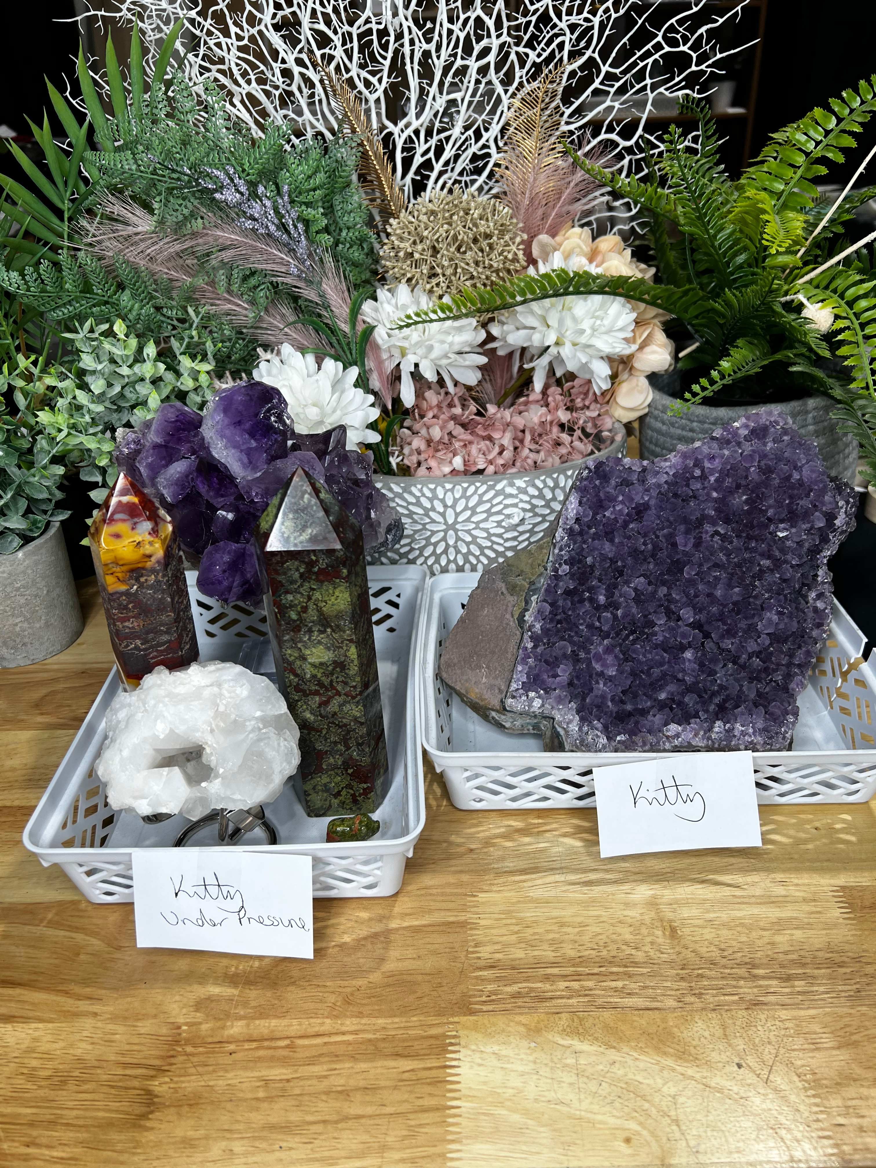 KITTY - LIVE SALE 10.11.2025