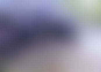 Collega's doen het weer zelf