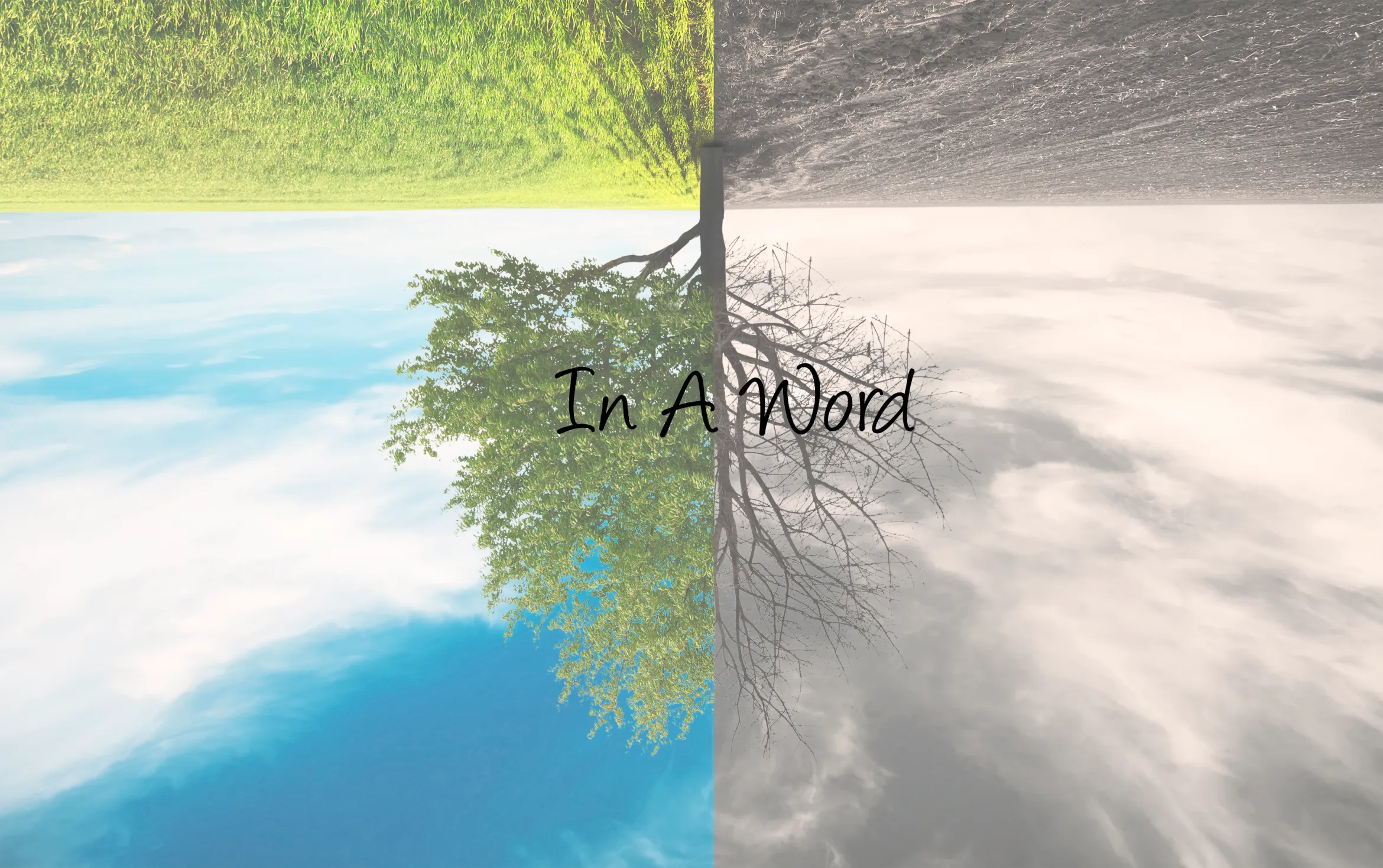in a word