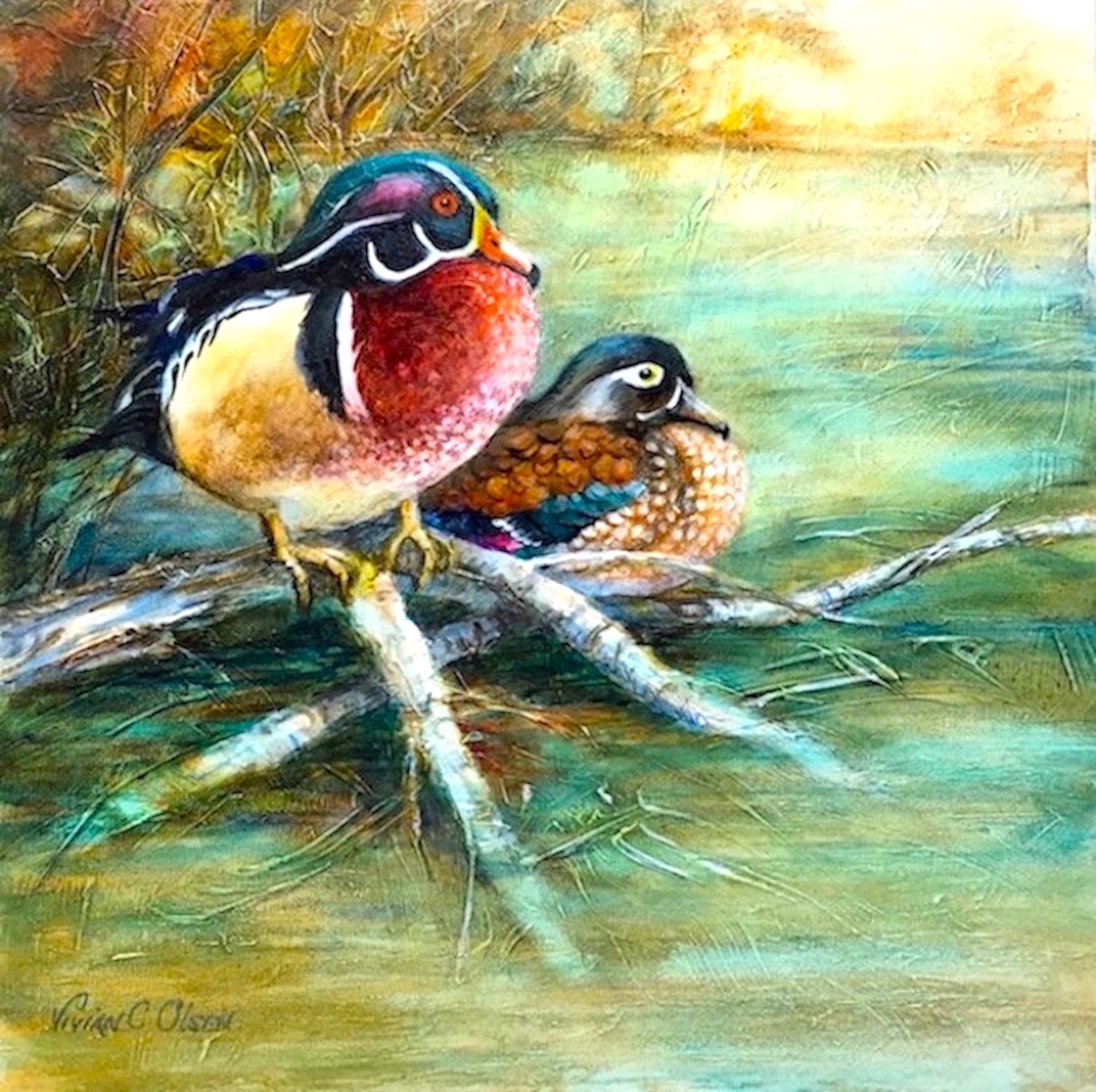 Wood Ducks