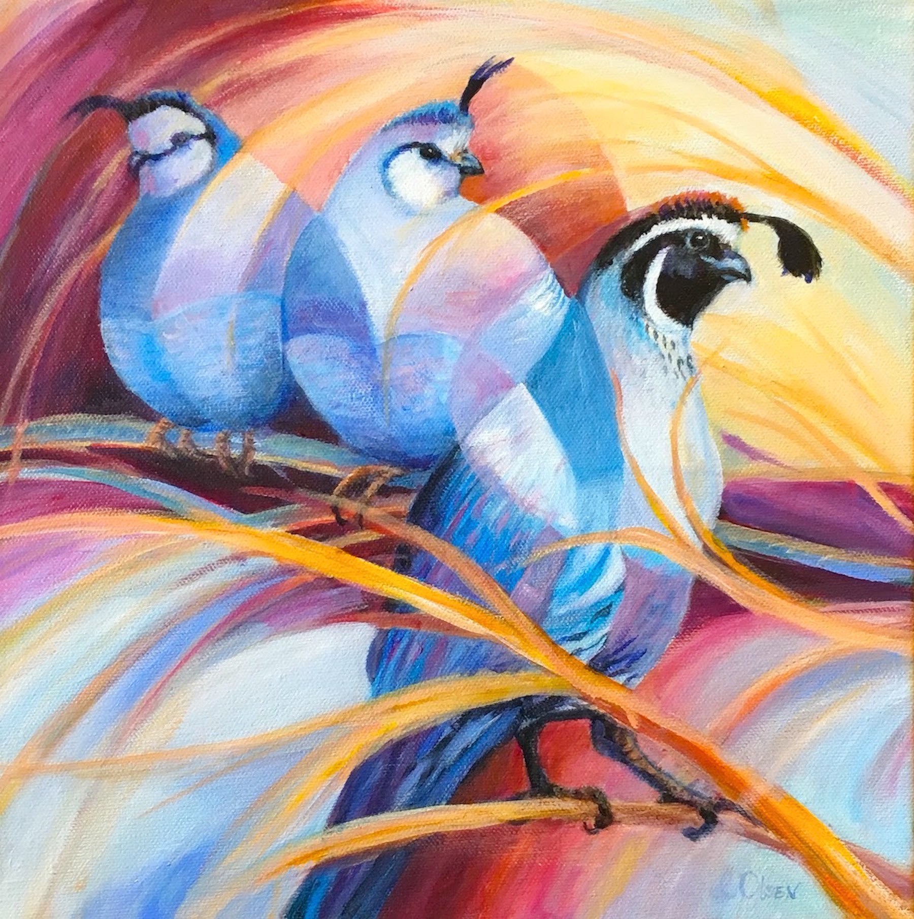 Quail Spin