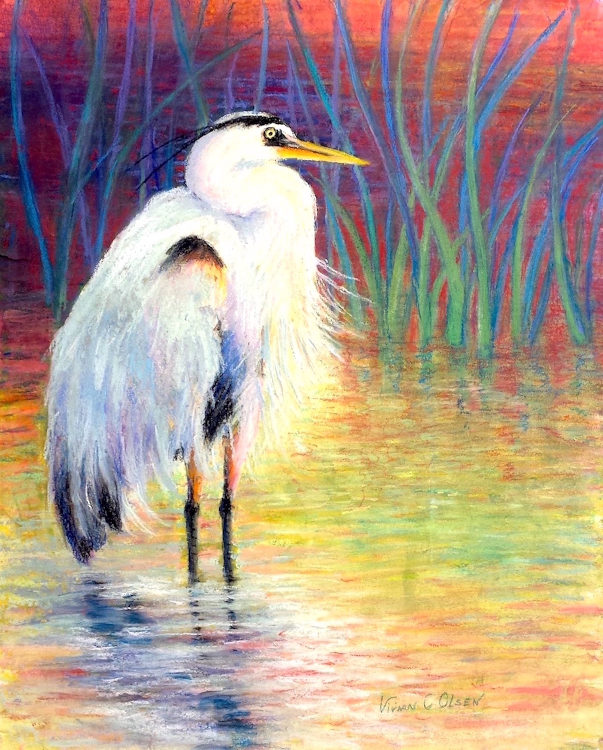 Great Blue Heron