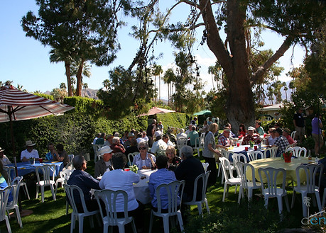 Afternoon Gathering of Friends