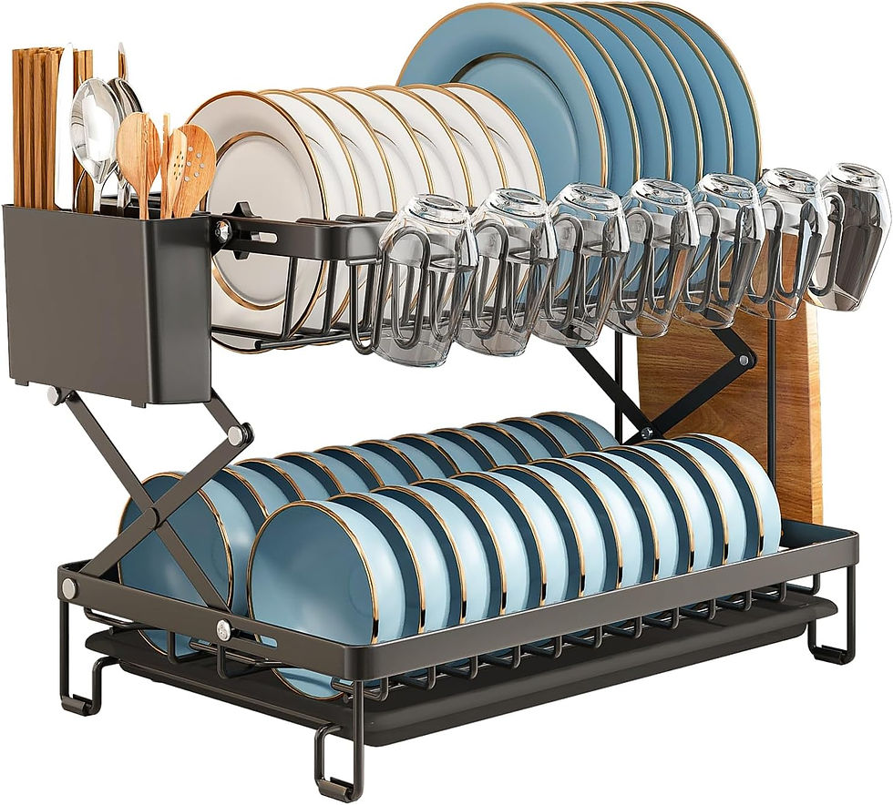 CARLA HOME 2-Tier Dish Drying Rack with Drainage Tray, Utensil Holder, Cup