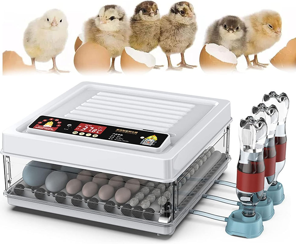 CARLA HOME 70 Egg Incubator with Automatic Turning, LED Display, Humidity & Temp