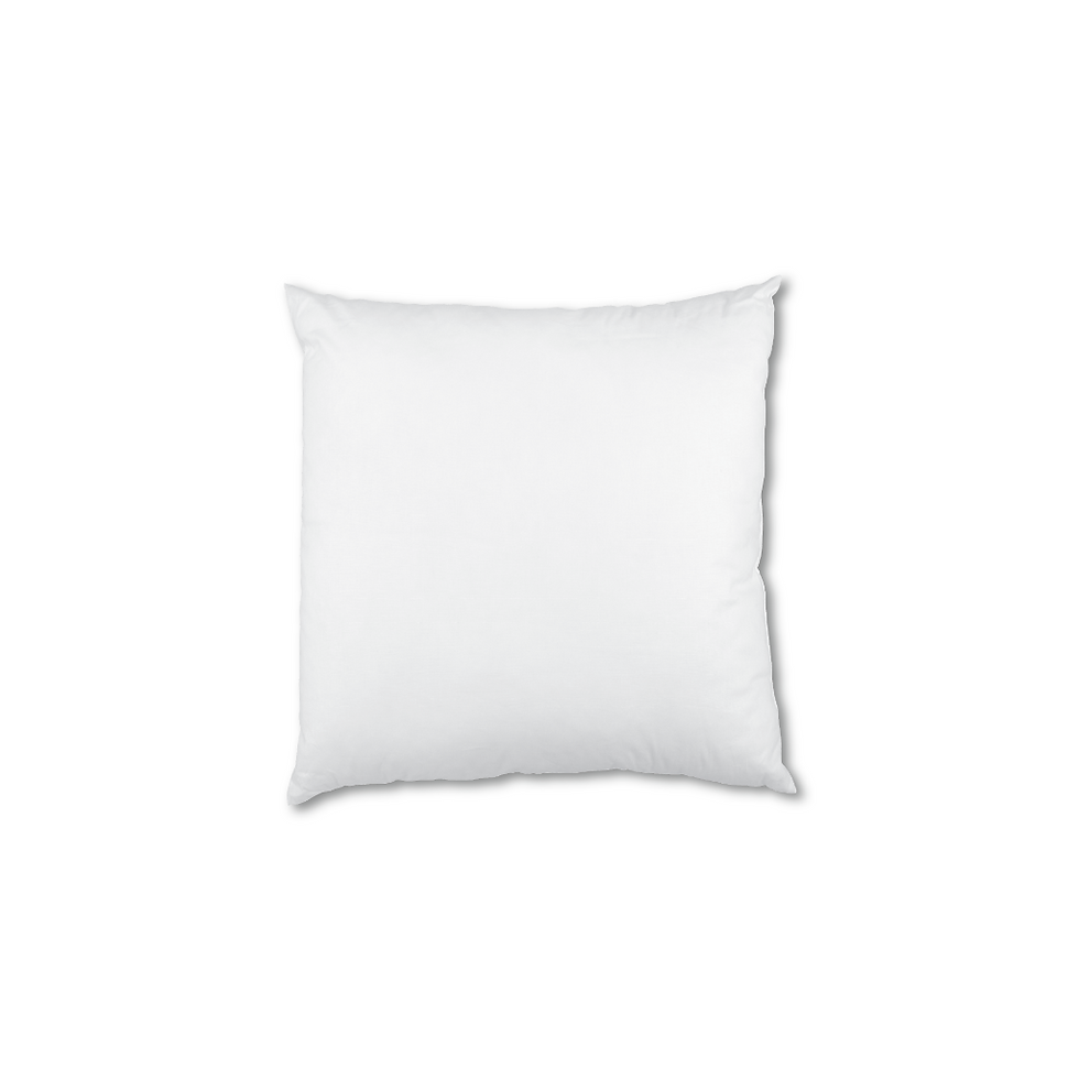 Luxor Twin Pack 45x45cm Aus Made Hotel Cushion Inserts Premium Memory Resistant