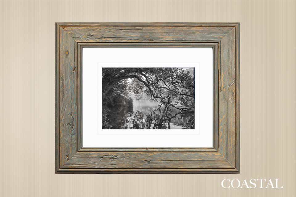 Thumbnail: Dancing Trees