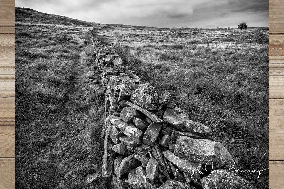 Nomadic Sight