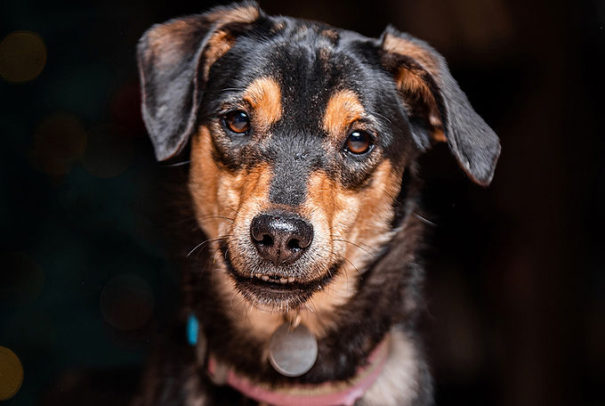 Капелька_2 (1).jpg