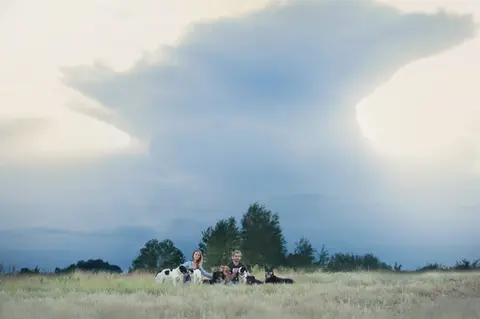 Тетяна та Андрій з собаками в полях