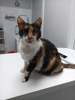 photo_2025-08-25 11.39.44.jpeg