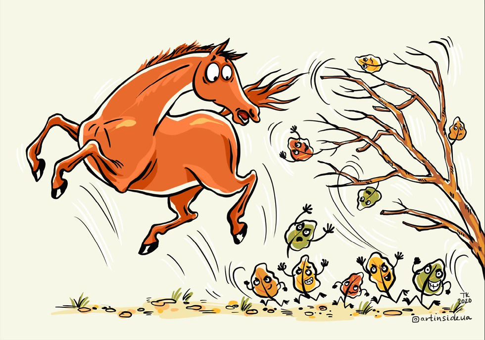 HORSE 8