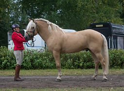 30202746613_d38a9706bf_o (1).jpg