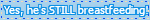brest.gif