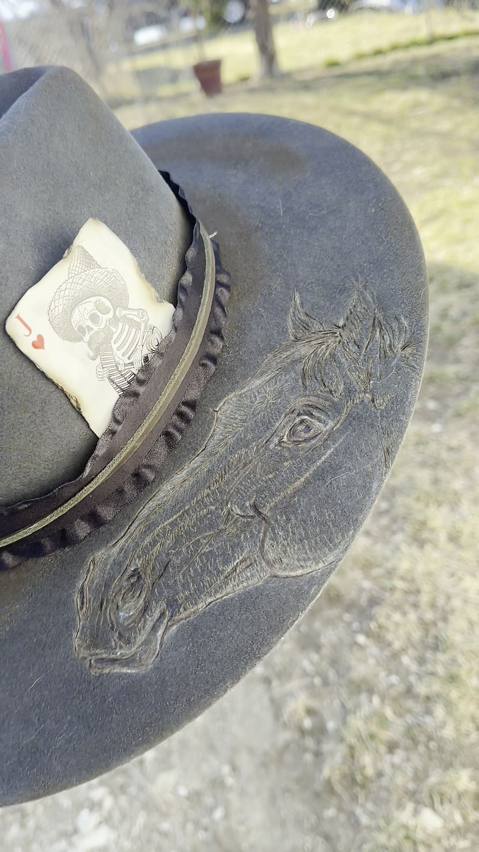 Thumbnail: Black Stallion