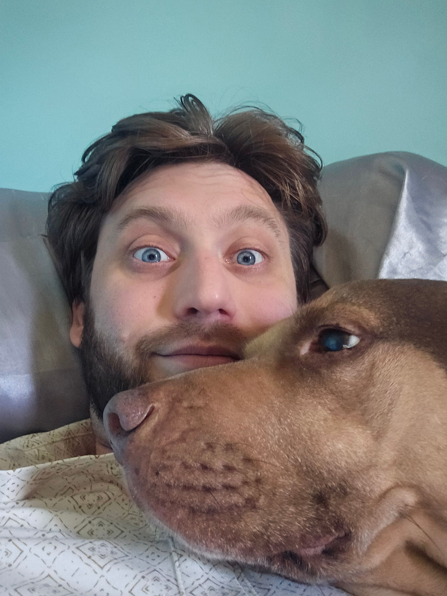 Ace the dog