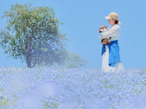 愛犬の思い出を永遠に