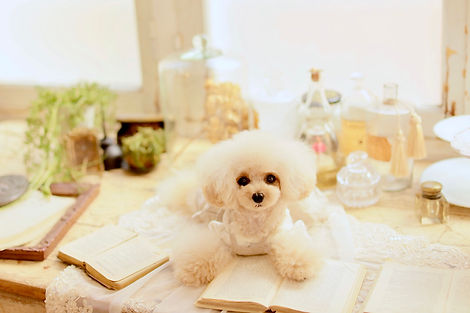 744F233B-A75C-497C-BC55-5A7FB2278D95.JPG