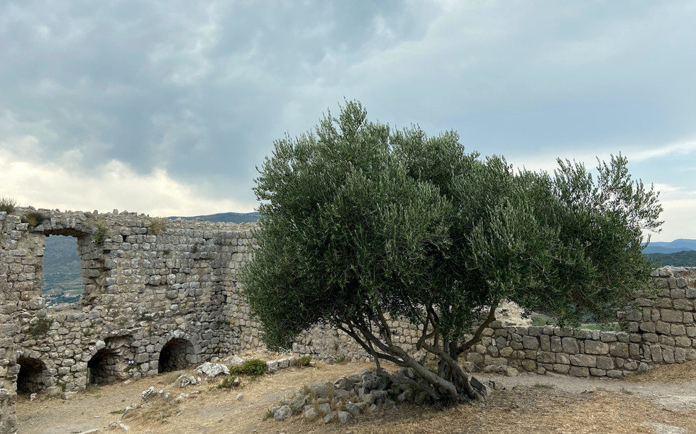 L'interieur du château d'Aguilar