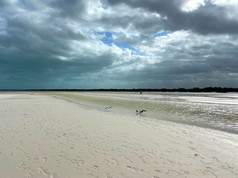 2 jours à Holbox: activités, restaurants, et autres infos utiles.