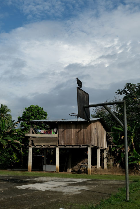 Village la Chunga - Forêt du Darien