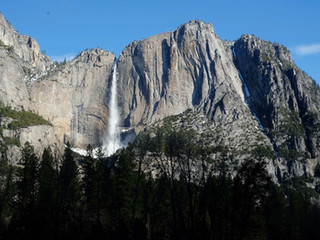 Découvrir le Yosemite National Park