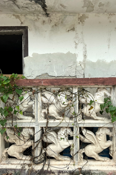 Maison à Holbox
