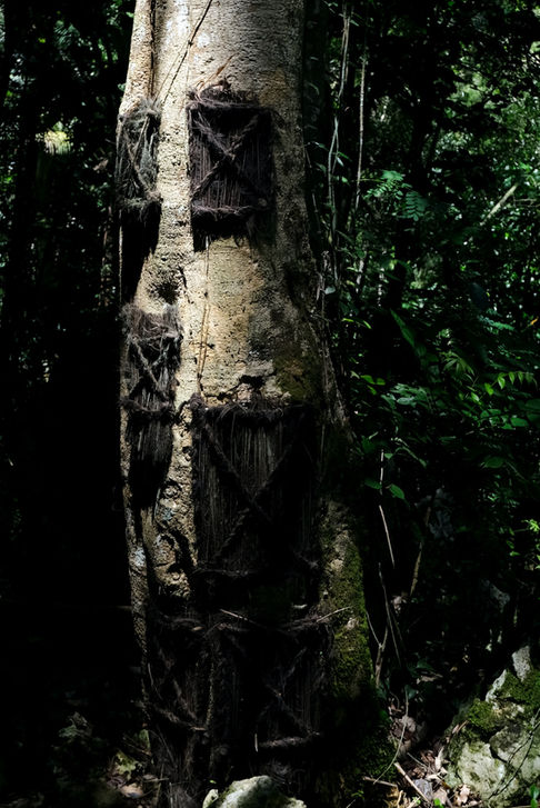 Choses à voir en Pays Toraja, cultures et traditions