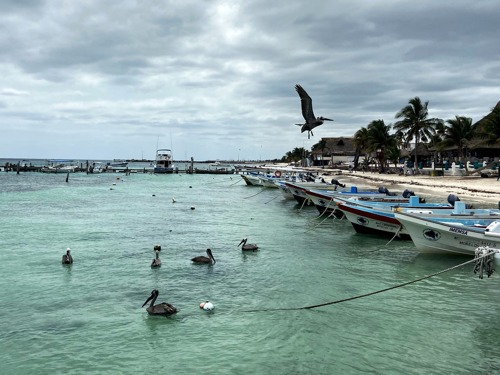 Port de pêcheurs de Puerto Morelos