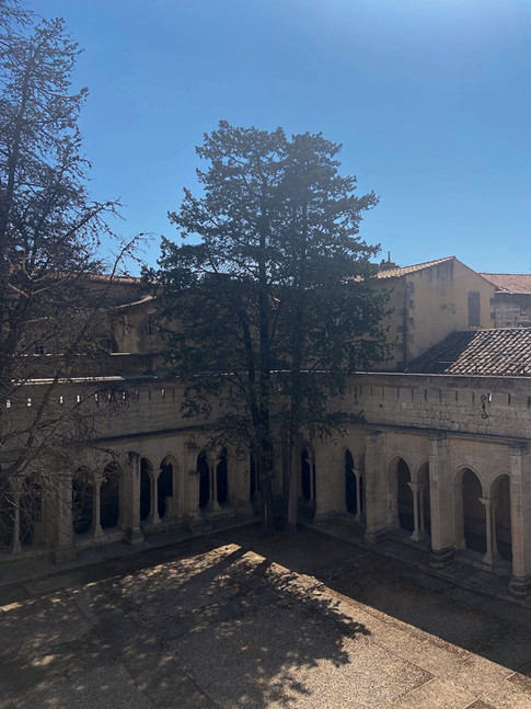 Découverte de Arles