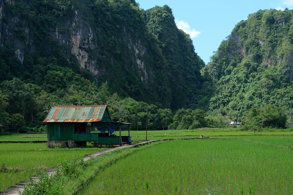 Visites incontournables à Makassar