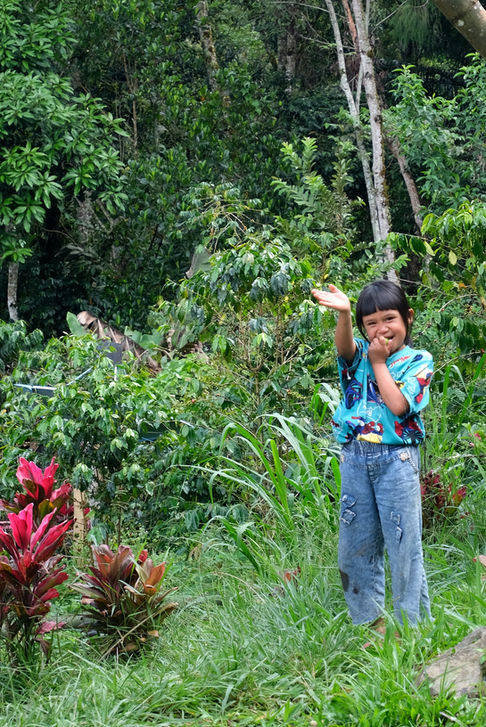 Se déplacer dans Rantepao à Toraja