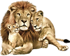 pngfind.com-lion-png-596041.png