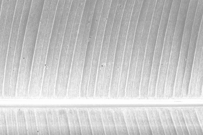 Banana Leaf