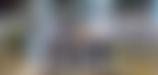 Cameroon Mission 2024