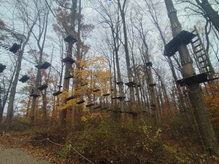 Freshman Class Takes to the Trees at Sandy Spring Adventure Park