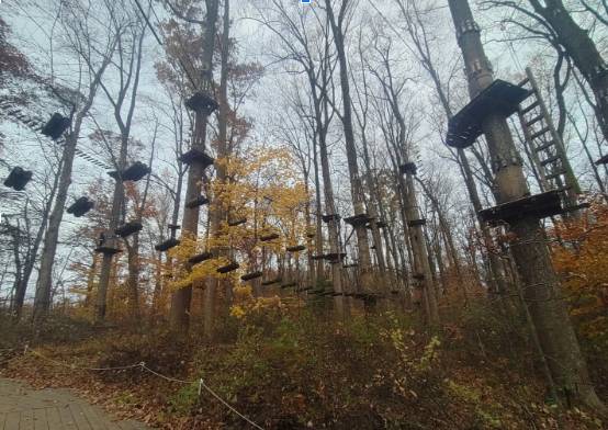  Freshman Class Takes to the Trees at Sandy Spring Adventure Park