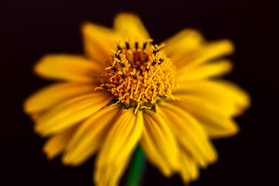 C7187560-5120-453F-8157-A5ACA8786C95.jpeg