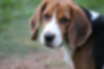 Wrangler5mo2