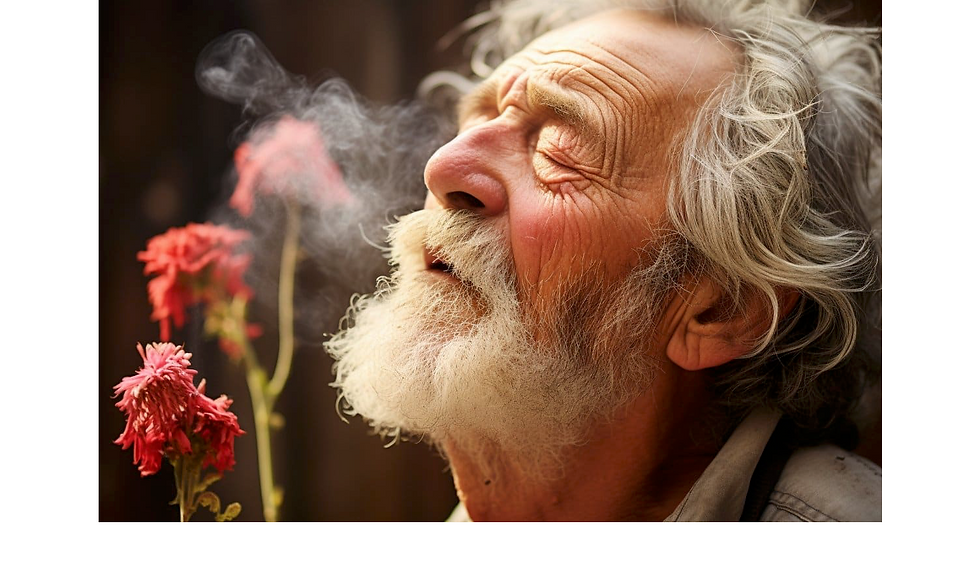 To Smell And Back