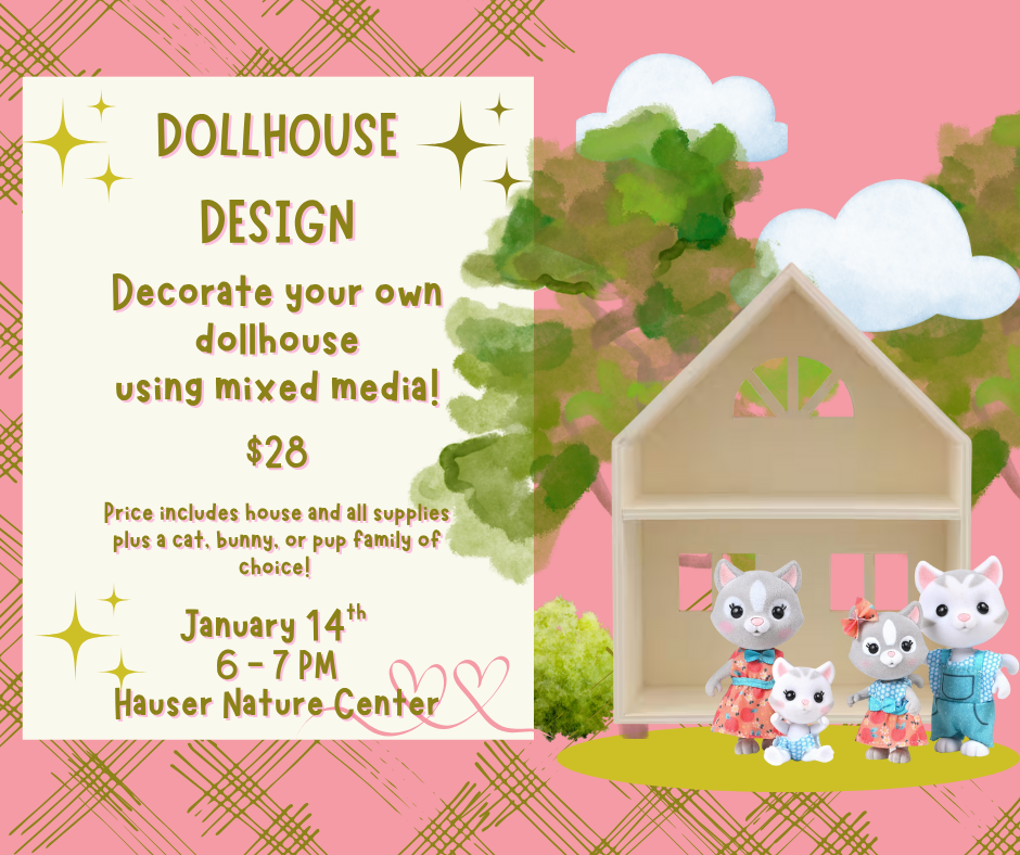 Dollhouse Design