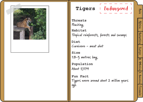 Animal Kingdom Case File - Tigers