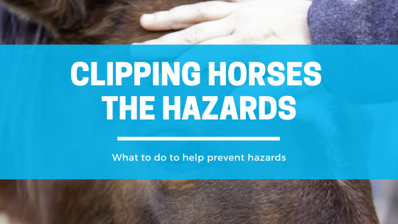 Clipping Horses - The Hazards