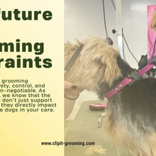 A dog on a grooming table with the jellyB restraint around its neck.